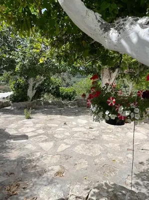 a stone courtyard with flowers and a tree at Vrysses Lodge Michael Stelianos in Vryses