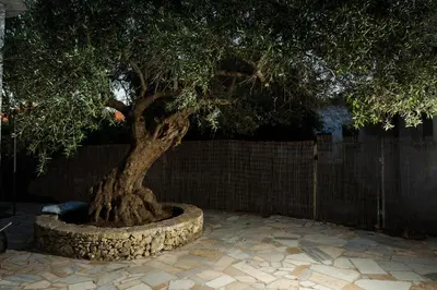 a large tree in a stone planter in front of a fence at Manolis Stone House Villa in Mouríon