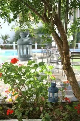 a light hanging from a tree in a garden at Proimos Maisonnettes in Plataniás