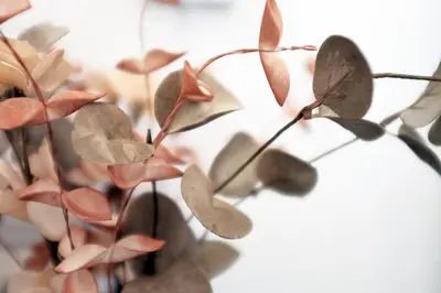 a close up of a plant with leaves at Everlane Seaview Villa in Arménoi