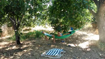 a man laying in a hammock under a tree at Nature stone retreat between Balos & Elafonisi beach, contactless check-in, Mouri Nature House in Mouríon