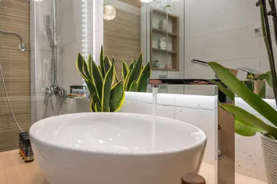 a bath tub in a bathroom with a plant at Eranthis Apartment in Chania Town