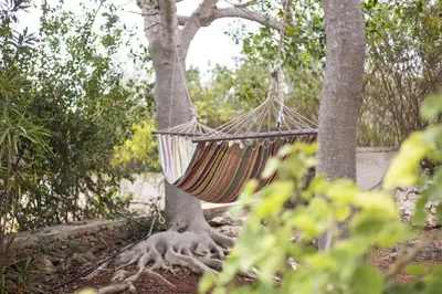 a hammock hanging from a tree in a park at Rastoni - Beach Family House in Chorafakia