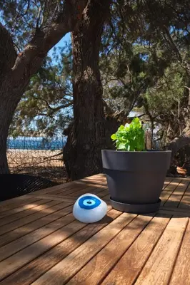 a plant sitting on a wooden table next to a vase at Mekia's beach house in Livadia