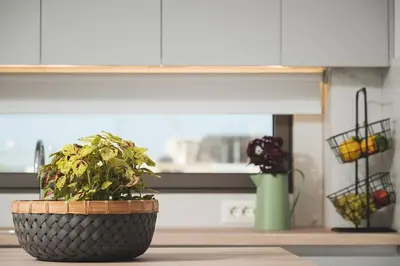 a kitchen counter with two potted plants on a table at Afrodite-Μεζονέτα στην πόλη Χανιά in Chania Town