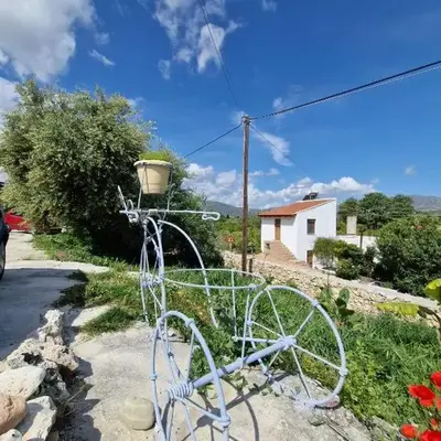 Stefanos Garden3