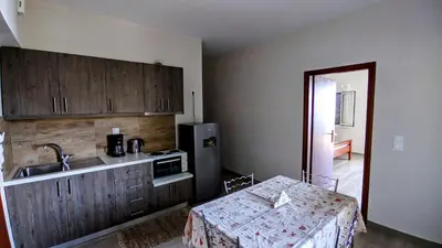 a kitchen with a sink and a refrigerator at Kleio Studios in Ravdhoúkha