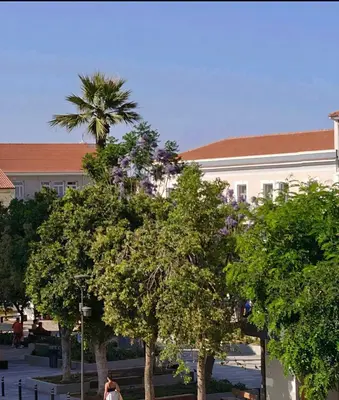 a group of trees in front of a building at GreenView Chania Center Luxury Suite in Chania Town