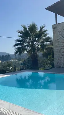 a blue swimming pool with a palm tree in the background at Villa Aris in Crete with private pool en private parking! in Neo Chorio