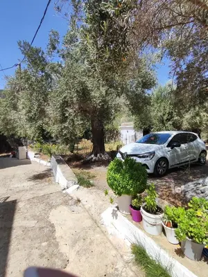 a car parked on the side of a street with plants at Nature House Vlatos in Vlátos