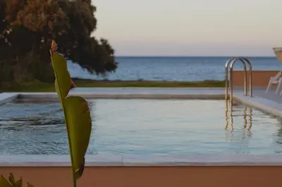 a plant in front of a swimming pool next to the ocean at Giannoulis Ele Villas in Skoutelónas