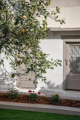 an orange tree in front of a house at Amelia Luxury Living Mantaka in Chania Town