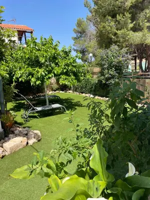 a garden with green grass and a tree in it at Sternes house in Stérnai