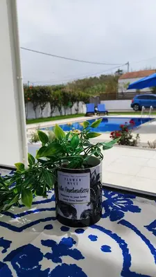 a potted plant sitting on top of a table at Villa Anastasia Sissy in Módhion