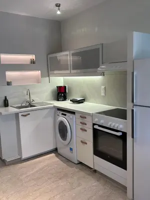 a kitchen with a washer and a sink and a dishwasher at Elias Nest in Galatás