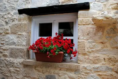 a window with a pot of red flowers on a window sill at Rock House's Villa Melody in Plataniás