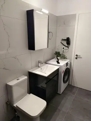 a bathroom with a toilet sink and a washing machine at Stone Villa Aori in Pemónia