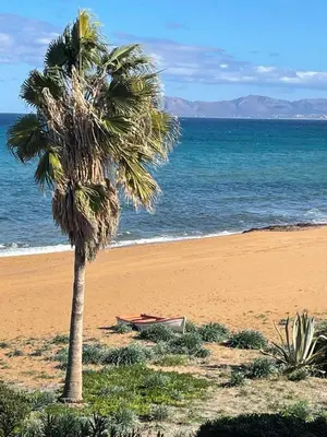 a palm tree and a bench on a beach at Cielo Vista in Stalos
