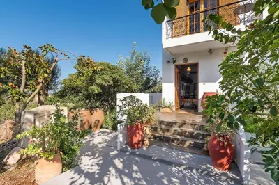 a house with potted plants in front of it at Lilly Traditional Cretan Villa in Dhrakóna