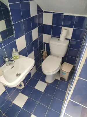 a blue and white bathroom with a toilet and a sink at Stefanos Garden2 in Arménoi