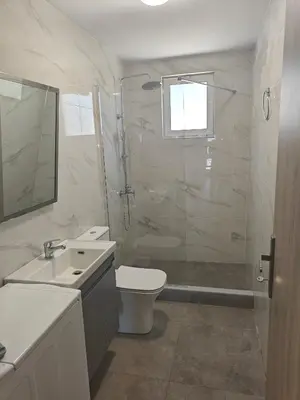 a bathroom with a shower and a toilet and a sink at Chrissos apartment in Agios Padeleimon