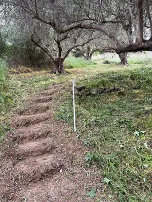 a dirt road with a pole in a field with trees at Among The Stars chania Outdoor Camping in Ástrikos