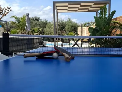 a ping pong racket and ball on a tennis court at Amare suite 2 in Perivólia