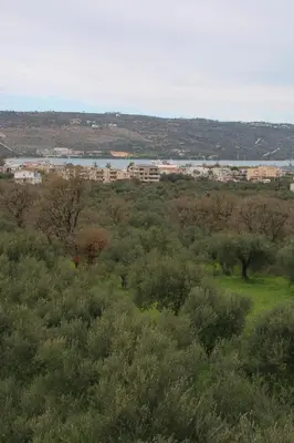 a green field with trees and buildings in the background at Souda Bay View Retreat in Souda