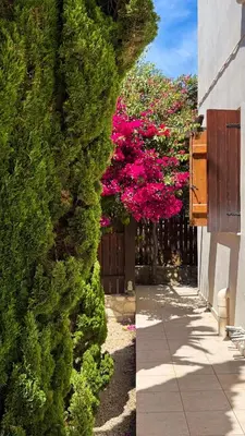 two pictures of a bush with pink flowers on a building at SeawoodBreeze - Sea view and Quiet Escape in Tavronitis
