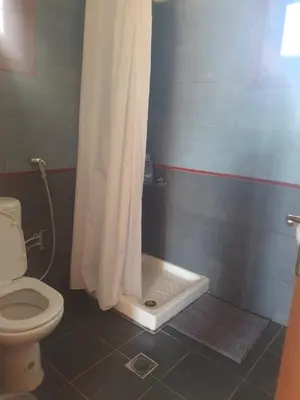 a bathroom with a toilet with a shower curtain at Villa Eudokia Terrace Views Pool in Douliana