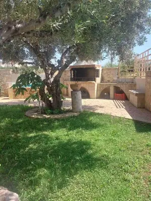 a tree in a park with a building and a bridge at Stone House by the Sea in Tavronitis
