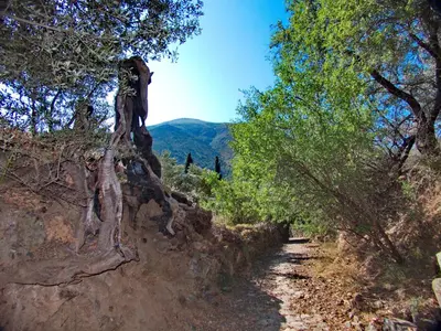 a dirt trail with trees on the side of a mountain at Polidoros vintage house 13 km from Elafonisi in Vathi