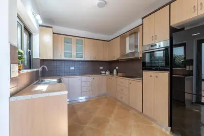 a large kitchen with wooden cabinets and stainless steel appliances at Kalamaki Del Mar in Chania Town