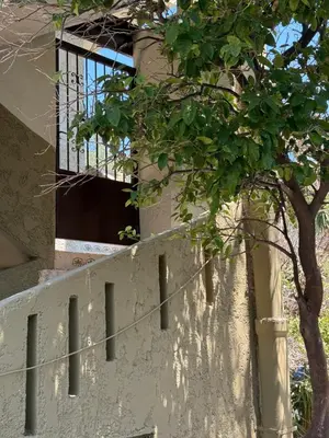a building with a window and a tree at Retro Groove in Palaiochóra
