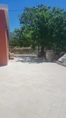 a tree and a bench in a courtyard with a tree at loupagio di mare in Plátanos
