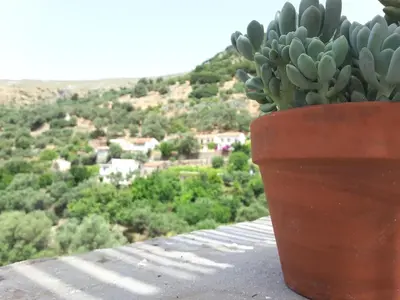 a plant in a pot sitting on top of a ledge at Panorama Apartment in Kefálion