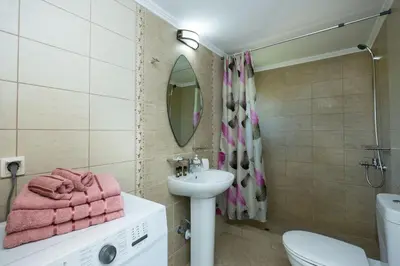 a bathroom with a sink and a toilet and a mirror at Arnildi's View in Nopíyia