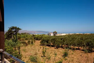 a field of trees with the ocean in the background at Pyrgos Spring pool apartment in Maleme