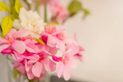 a bunch of pink flowers in a white vase at Edward Luxury Suites in Chania Town