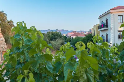 a view of a building from behind a plant at Edward Luxury Suites in Chania Town