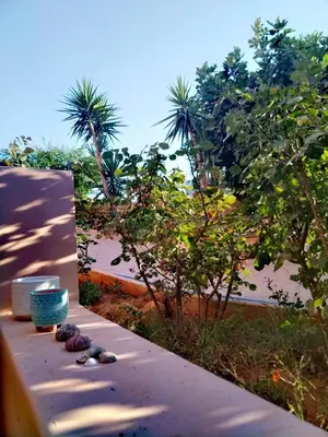a group of rocks sitting on a ledge next to trees at RosaMaria's Garden in Kounoupidhianá