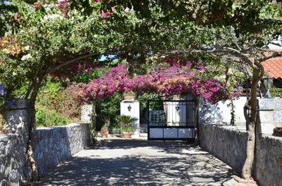 a garden with a gate with pink flowers at Villa Esperado Gardens Maleme in Maleme