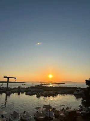 a group of boats in a marina at sunset at A&G mare in Chania Town