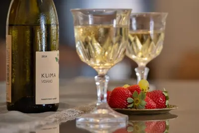 a bottle of wine next to two glasses of champagne at Coralie 3 bedroom apartment 40m from the beach in Chania Town