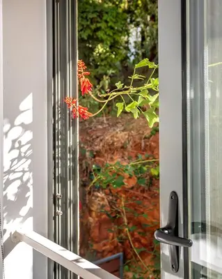 a window with a view of a plant at Central cozy garden flat in Chania Town