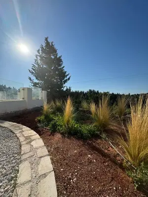 a garden with a stone path and a tree at Villa & Apartament Armonia 3 Gaja Flora Gavalochori - Vamos KRETA in Vamos