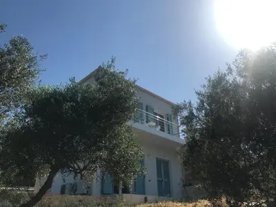 a white house with trees in front of it at villa Elaionas in Tsivarás