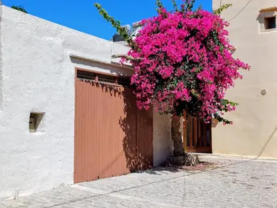 a tree with pink flowers in front of a building at Violetta Kaliviani room 1 in Kalivianí