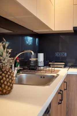 a kitchen sink with a pineapple sitting next to it at Mystrali I in Galatás