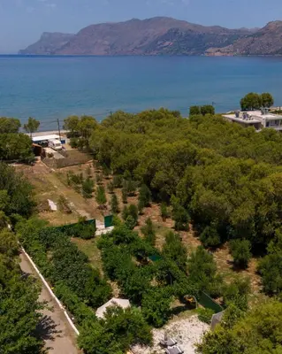 an overhead view of a plantation of trees in front of the water at Edem private camping in Análipsis
